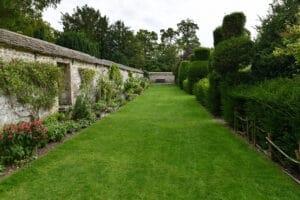 Comment aménager un petit jardin en longueur ?